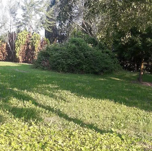 Parigi 3* カステル・サン・ピエトロ・テルメ