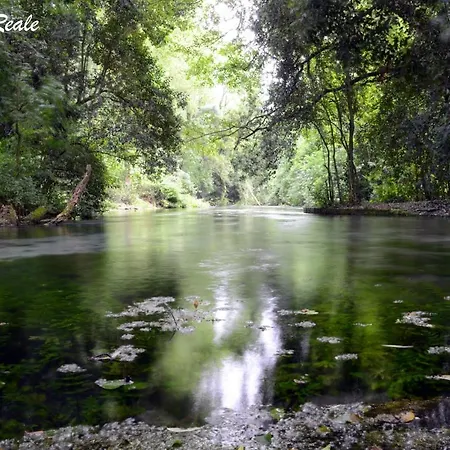 Parigi מלון קסטל סן פייטרו טרמה